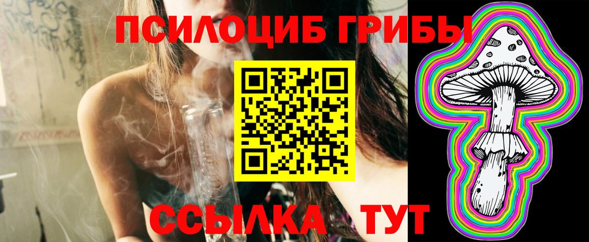 Псилоцибиновые грибы GOLDEN TEACHER Красногорск